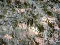 Colfax Land Real Estate