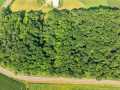 Colfax Land Real Estate