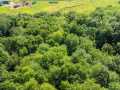 Colfax Land Real Estate