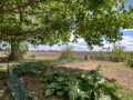 Elk Mound Residential Real Estate