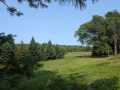 Ridgeland Residential Real Estate