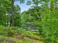 Webster Residential Real Estate