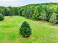 Colfax Residential Real Estate
