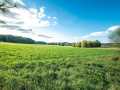 Menomonie Land Real Estate