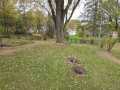 Neillsville Residential Real Estate