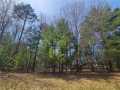 Webster Residential Real Estate