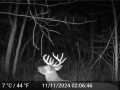 Elk Mound Land Real Estate