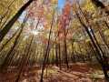 Elk Mound Land Real Estate