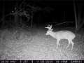 Elk Mound Land Real Estate