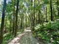 Elk Mound Land Real Estate