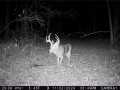 Elk Mound Land Real Estate