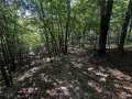 Elk Mound Land Real Estate