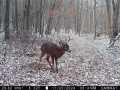 Elk Mound Land Real Estate