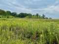 Boyceville Residential Real Estate