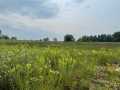Boyceville Residential Real Estate