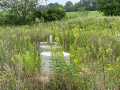Boyceville Residential Real Estate