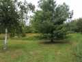 Pittsville Residential Real Estate