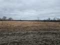 Boyceville Land Real Estate