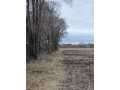 Boyceville Land Real Estate