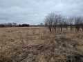 Boyceville Land Real Estate