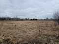 Boyceville Land Real Estate