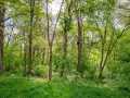 Eau Claire Residential Real Estate