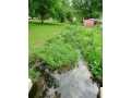 Plum City Residential Real Estate