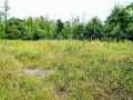 Ridgeland Land Real Estate