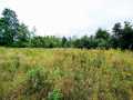 Ridgeland Land Real Estate