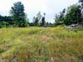 Ridgeland Land Real Estate
