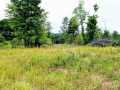Ridgeland Land Real Estate