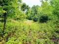 Ridgeland Land Real Estate