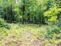 Ridgeland Land Real Estate
