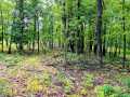 Ridgeland Land Real Estate