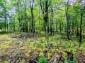 Ridgeland Land Real Estate