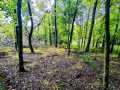 Ridgeland Land Real Estate