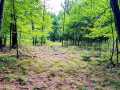 Ridgeland Land Real Estate