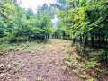 Ridgeland Land Real Estate