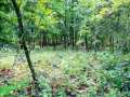 Ridgeland Land Real Estate