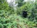 Ridgeland Land Real Estate