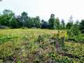 Ridgeland Land Real Estate