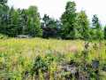 Ridgeland Land Real Estate