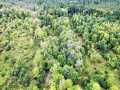 Ridgeland Land Real Estate