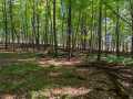 Menomonie Land Real Estate