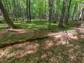 Menomonie Land Real Estate