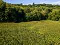 Colfax Land Real Estate