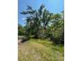 Black River Falls Residential Real Estate