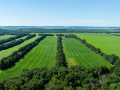 Durand Land Real Estate