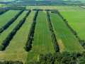 Durand Land Real Estate
