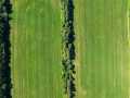 Durand Land Real Estate